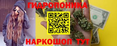 spice Заводоуковск
