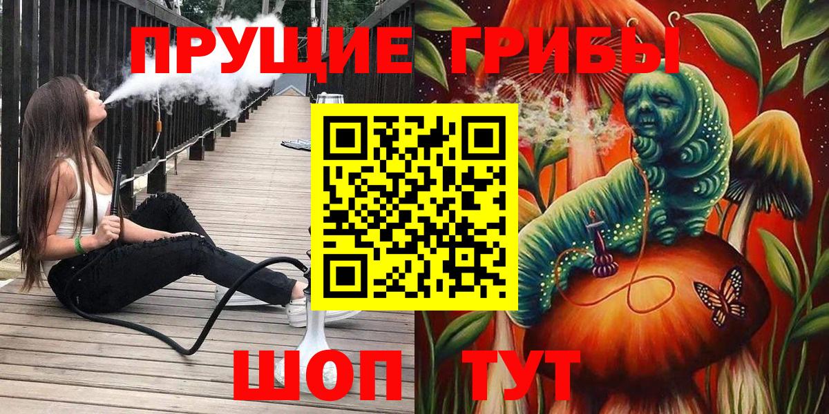 Галлюциногенные грибы Psilocybine cubensis  Вход с VPN  Златоуст 